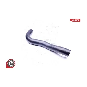 43SKV076 ESEN SKV