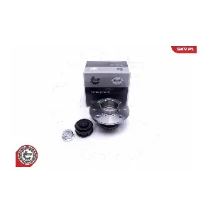 29SKV224 ESEN SKV