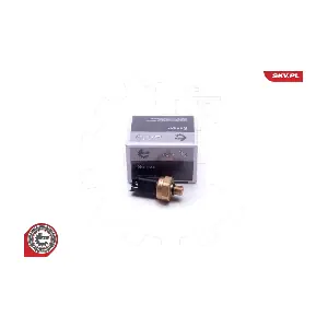 17SKV620 ESEN SKV