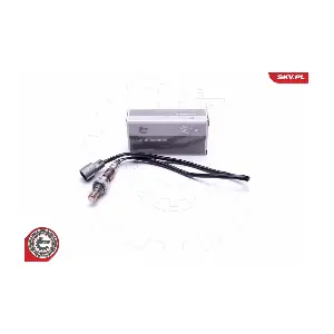 ESEN SKV 09SKV431