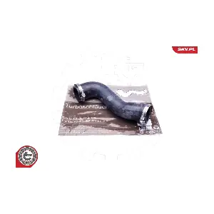 43SKV119 ESEN SKV