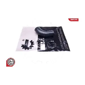 ESEN SKV 43SKV281