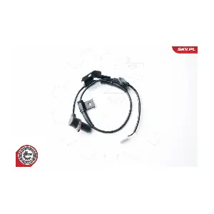 06SKV249 ESEN SKV