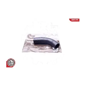 43SKV062 ESEN SKV