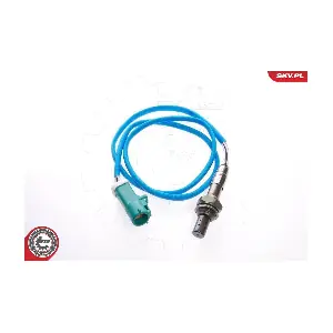 09SKV006 ESEN SKV