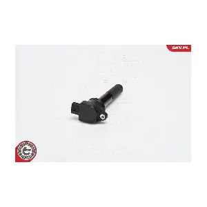 03SKV178 ESEN SKV