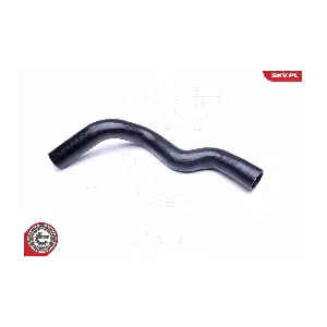 43SKV031 ESEN SKV
