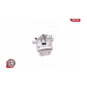 23SKV317 ESEN SKV