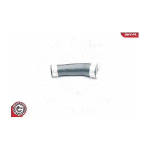 24SKV096 ESEN SKV