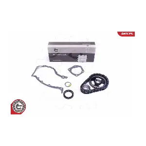 21SKV218 ESEN SKV