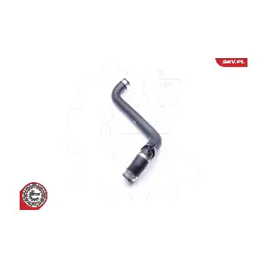 24SKV299 ESEN SKV