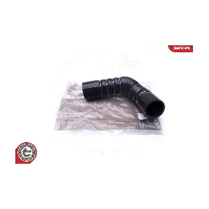 24SKV798 ESEN SKV