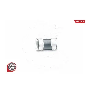 24SKV099 ESEN SKV