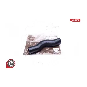 43SKV021 ESEN SKV