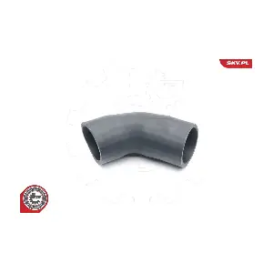 24SKV219 ESEN SKV