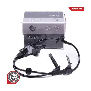 06SKV494 ESEN SKV