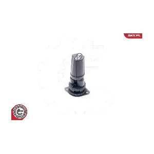 31SKV018 ESEN SKV
