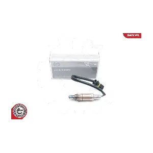 09SKV607 ESEN SKV