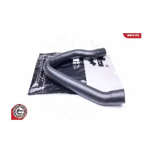 43SKV074 ESEN SKV