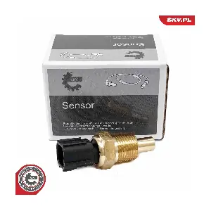 17SKV843 ESEN SKV