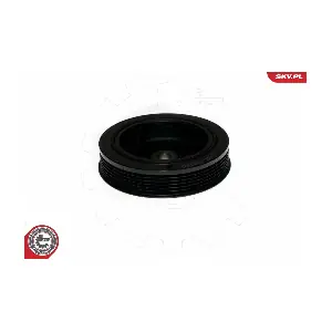 95SKV322 ESEN SKV
