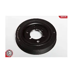 ESEN SKV 95SKV310