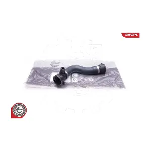 24SKV279 ESEN SKV