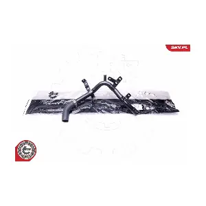 43SKV781 ESEN SKV