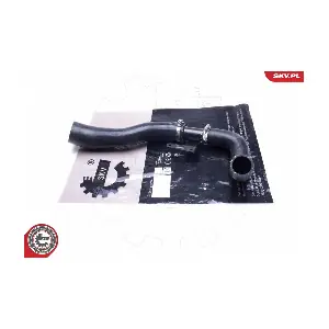 43SKV061 ESEN SKV