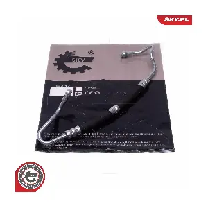 10SKV871 ESEN SKV