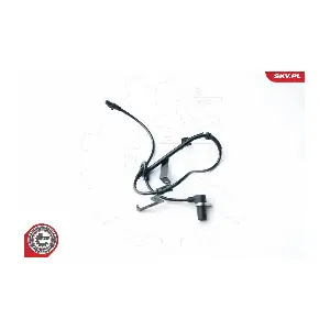 06SKV254 ESEN SKV