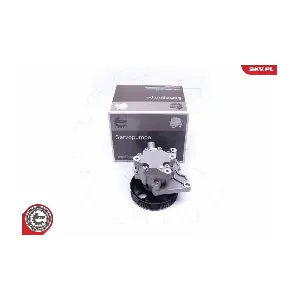 10SKV271 ESEN SKV