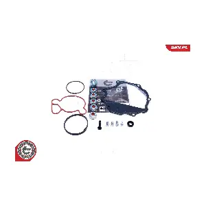 18SKV809 ESEN SKV