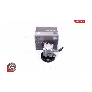 10SKV276 ESEN SKV