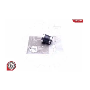43SKV118 ESEN SKV