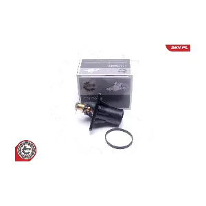 20SKV193 ESEN SKV
