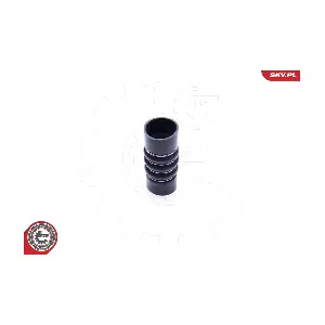 24SKV773 ESEN SKV