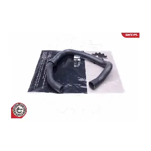 43SKV848 ESEN SKV