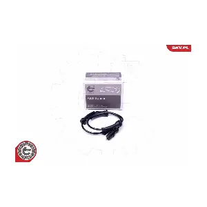 06SKV387 ESEN SKV