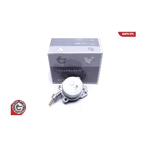 18SKV061 ESEN SKV