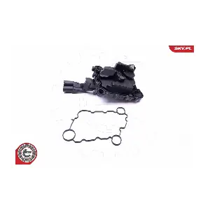 31SKV078 ESEN SKV
