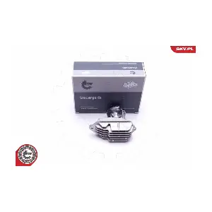 59SKV137 ESEN SKV