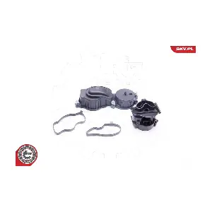 31SKV037 ESEN SKV