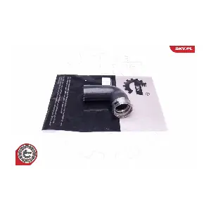 43SKV439 ESEN SKV