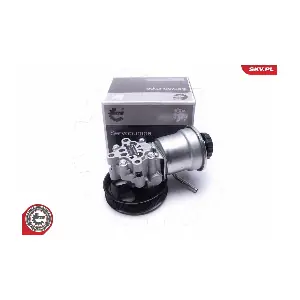 10SKV311 ESEN SKV
