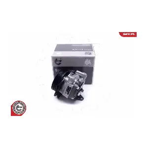 10SKV294 ESEN SKV