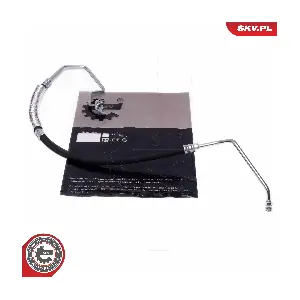 10SKV888 ESEN SKV
