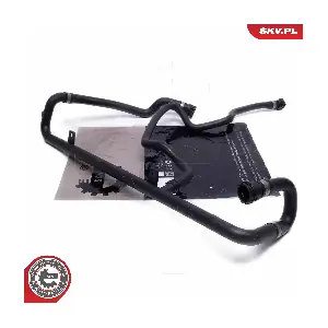 54SKV166 ESEN SKV