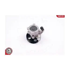 10SKV174 ESEN SKV