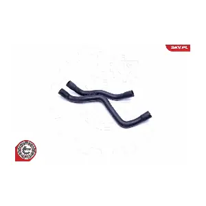 43SKV609 ESEN SKV